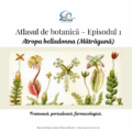 Episodul 1 – Atropa belladonna (matraguna)